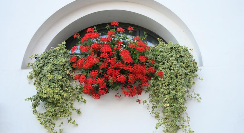 Crocetta del Montello Al Bagolaro Bed & Breakfast エクステリア 写真