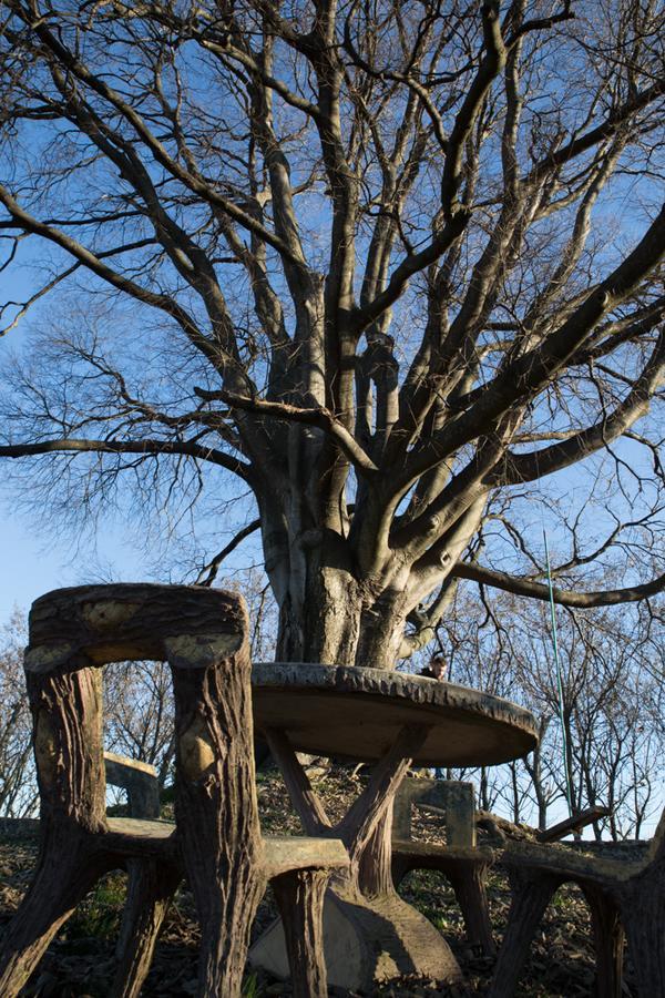 Crocetta del Montello Al Bagolaro Bed & Breakfast エクステリア 写真