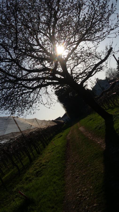Crocetta del Montello Al Bagolaro Bed & Breakfast エクステリア 写真